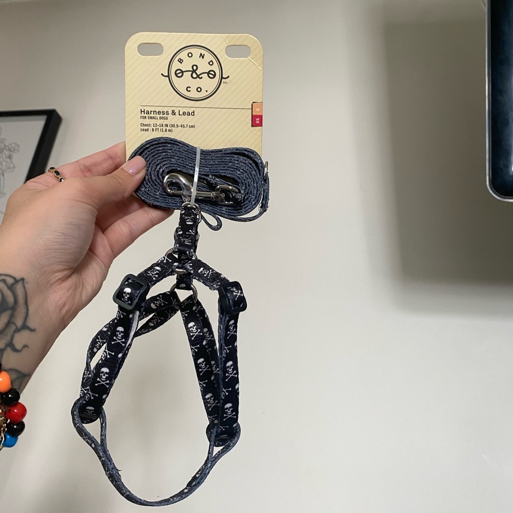 Brand new harness , lead and collar